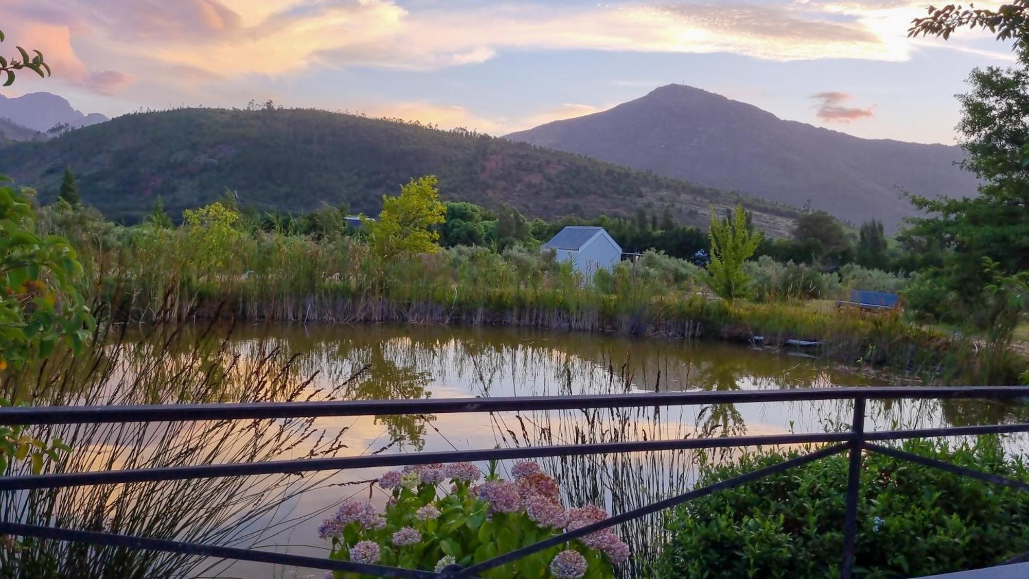 Droom Guesthouse Franschhoek Exterior photo